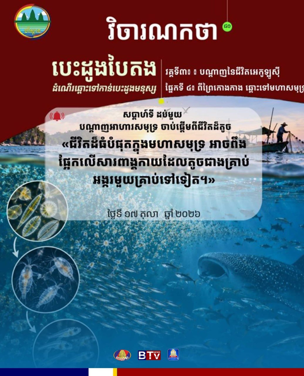 海洋生态科普 微小生物对海洋系统至关重要