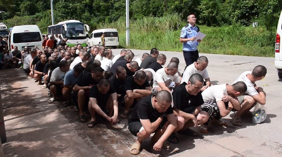 老挝遣返196名中泰籍电信诈骗嫌疑人