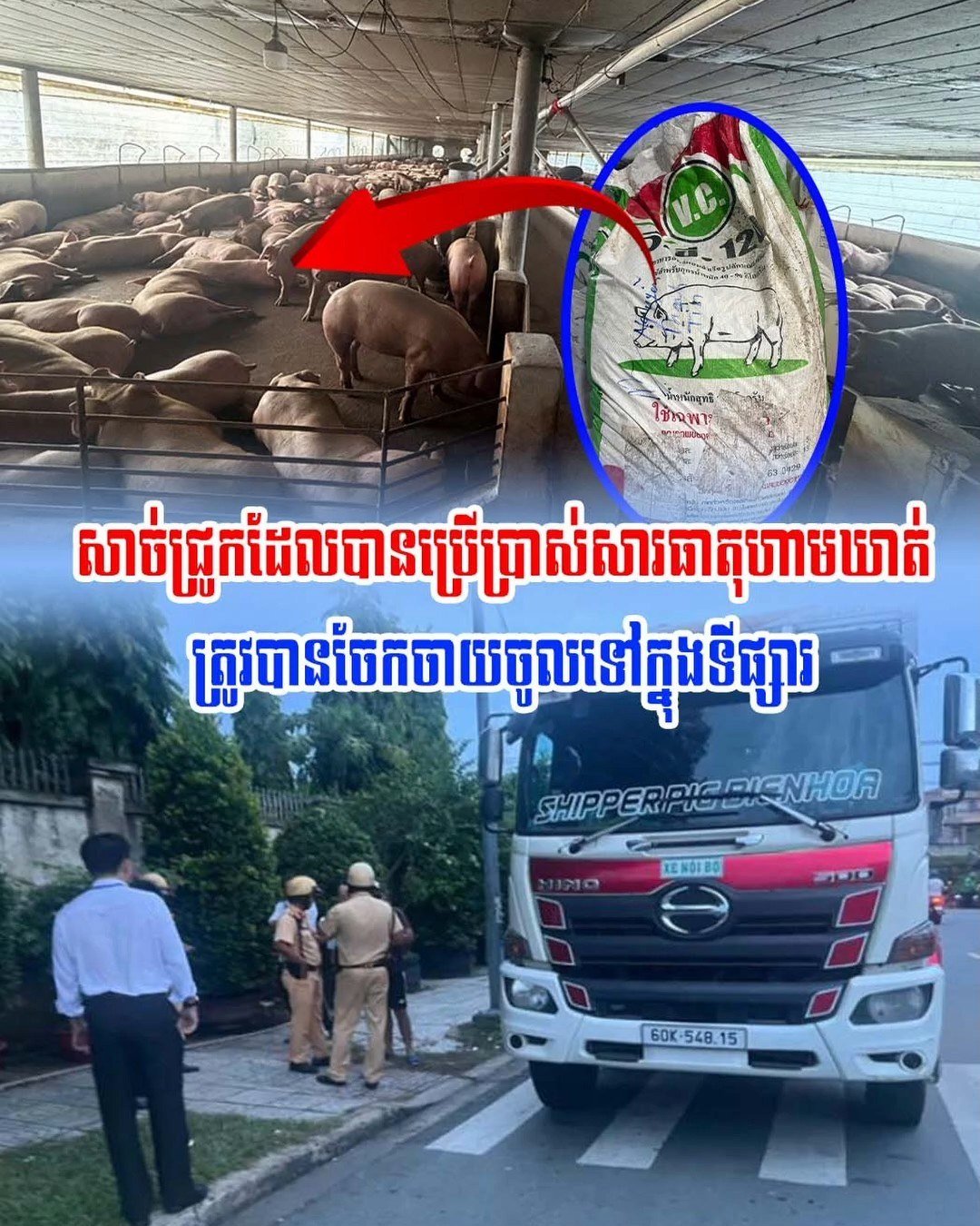 越南查获万吨违禁猪肉 涉案规模巨大流入风险需警惕