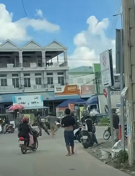 金边郊区发生严重车祸 一名女性不幸当场身亡