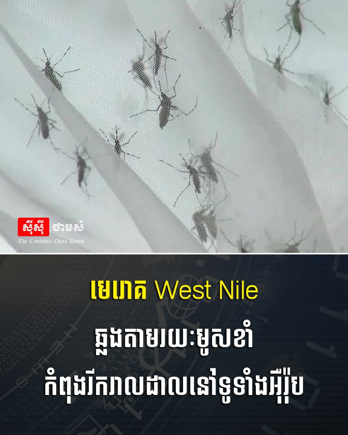 西尼罗河病毒在欧洲多地传播 提醒注意防蚊