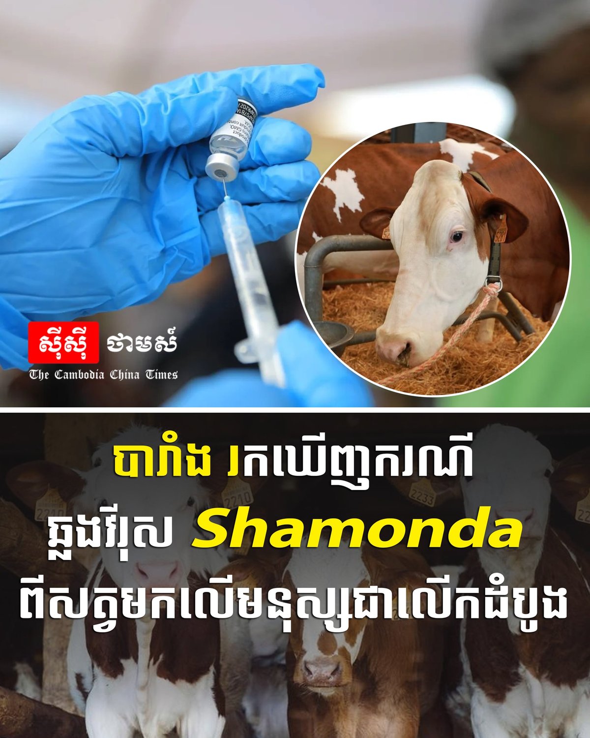 法国首次发现Shamonda病毒人畜共患病例