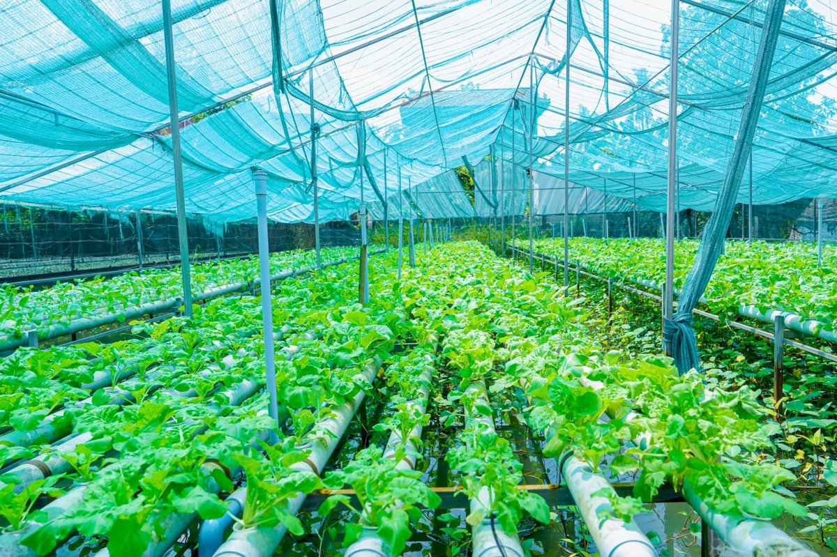 副总理旺西维索前往磅通省调研农业社区,旨在落实提升当地民众生