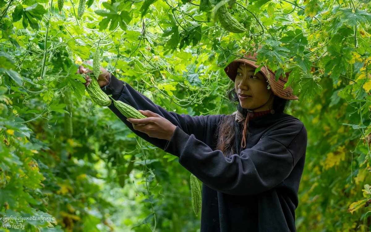 白马省土地利用与生物多样性保护现状