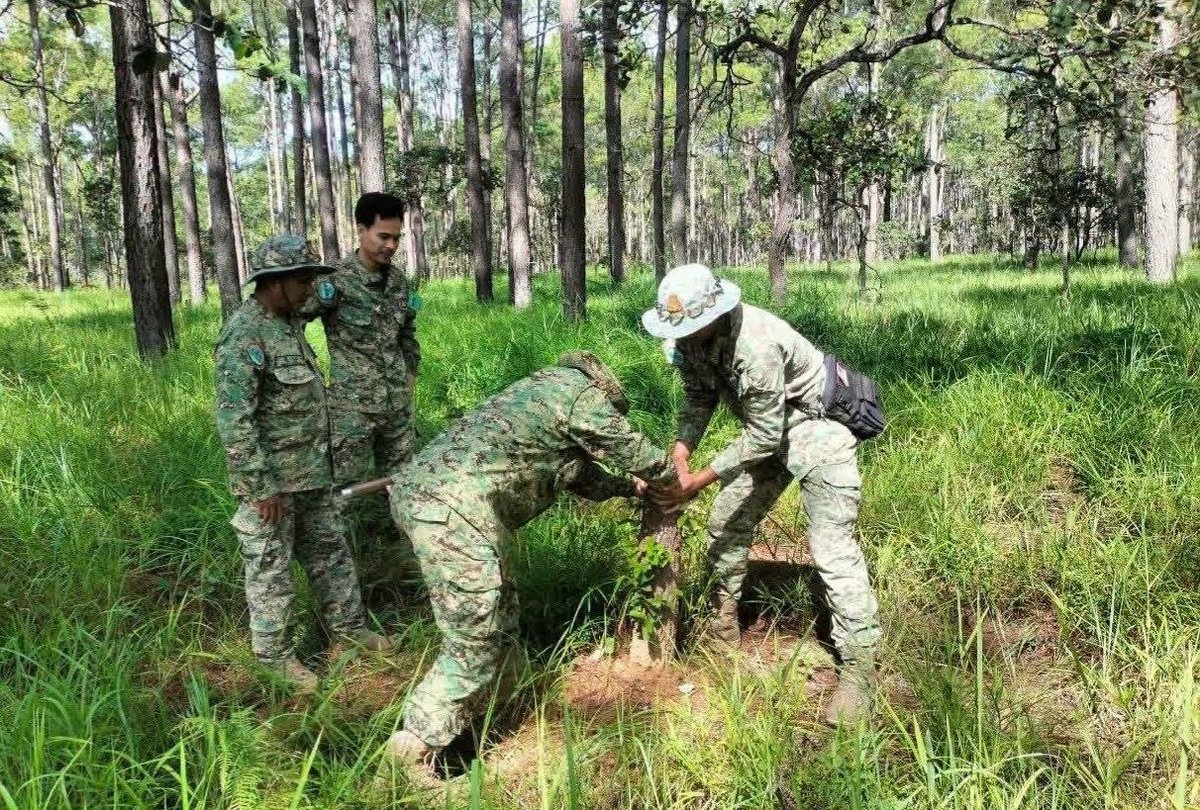 基里隆山保护区一个月内查处44起违法案件