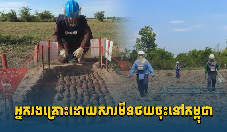 柬埔寨地雷受害者人数持续下降