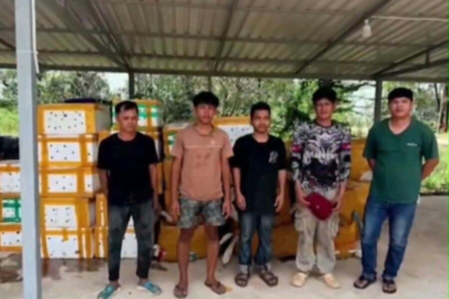 警方查获近4吨非法进口海鲜及商品 5人被捕