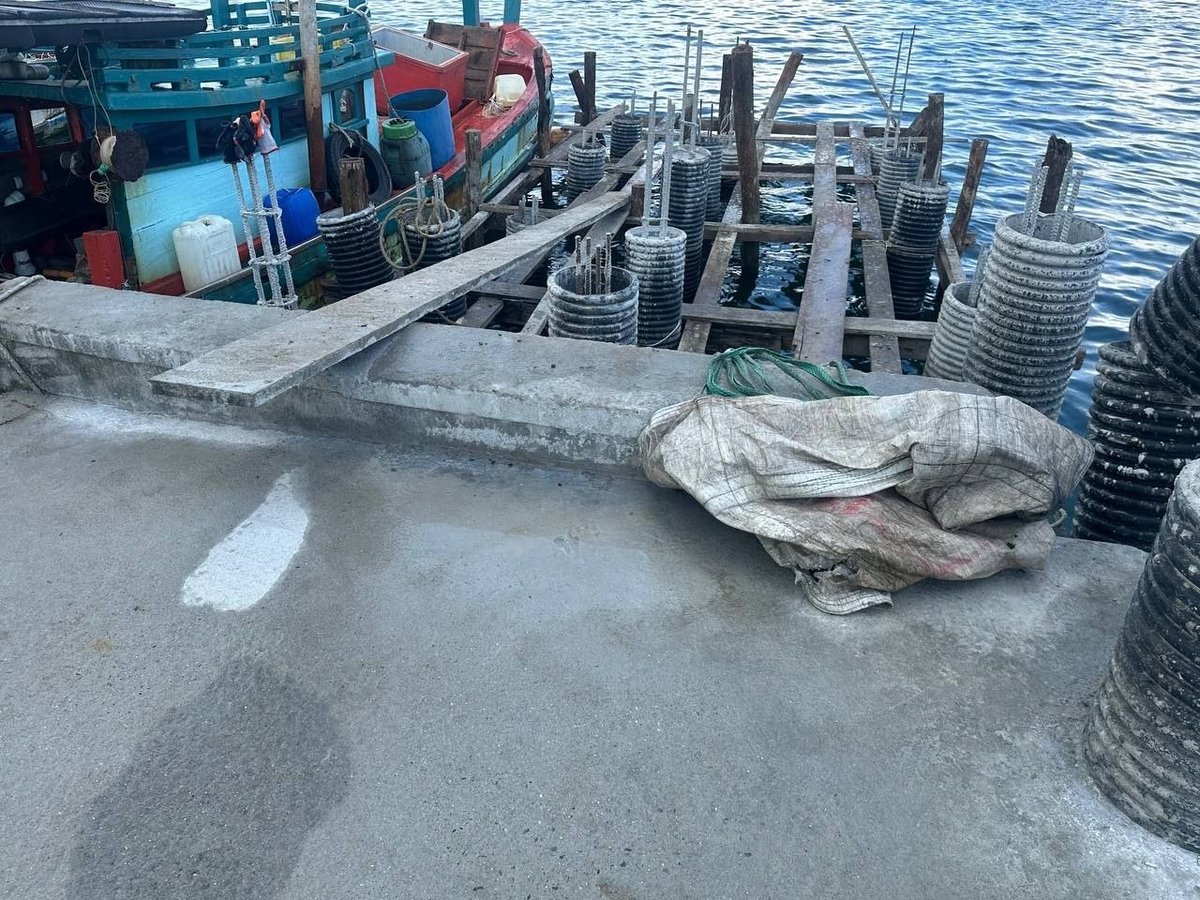 某勋爵违规建设码头遭当局禁令 调查仍在进行中
