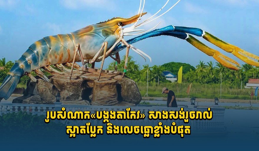 茶胶省大虾雕像落成 造型独特成打卡新地标