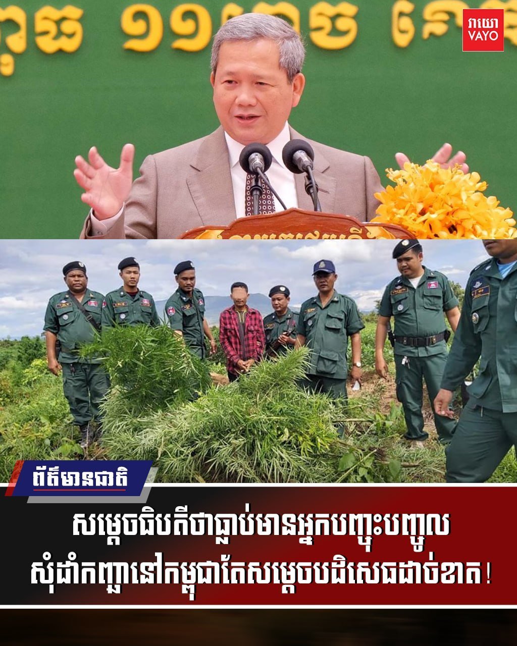 洪玛奈首相重申柬埔寨严禁种植大麻