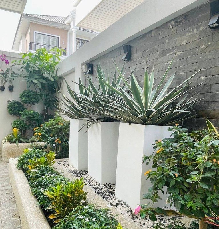 炳发集团小区双拼别墅出租,建筑面积6米x14.5米,户型为4