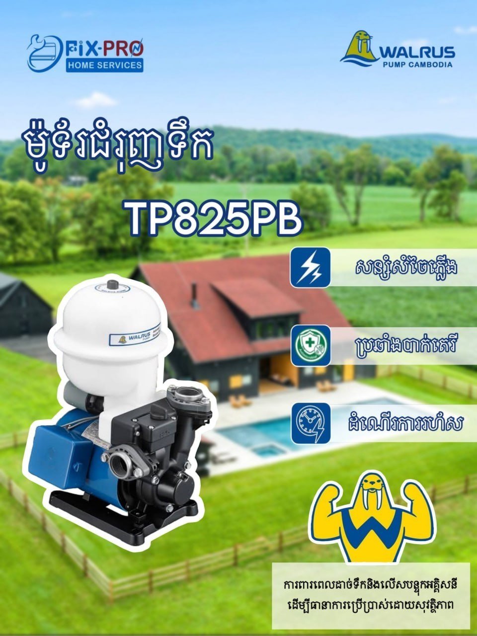 TP825PB水泵销售 适用于2-3层住宅 动力强劲