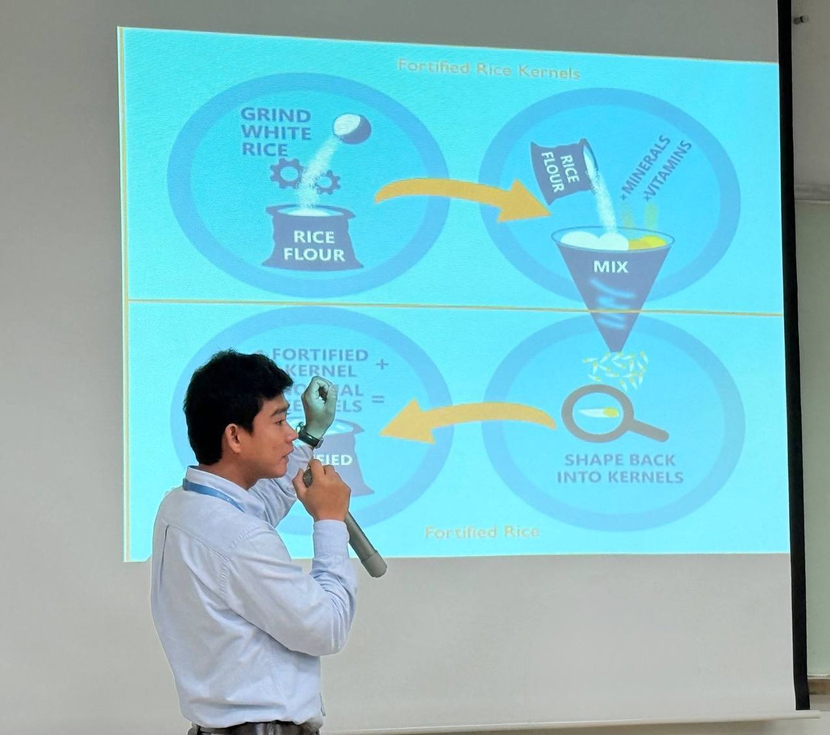 金边皇家大学举办学校供餐营养强化大米研究研讨会