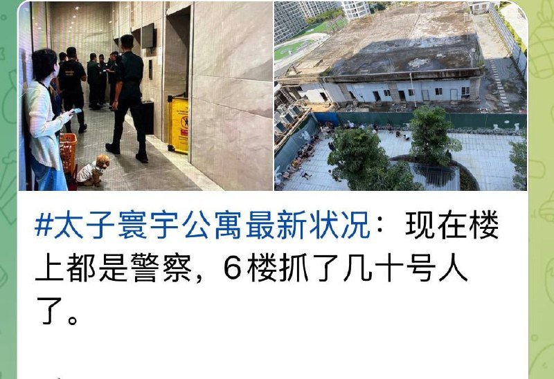 太子寰宇突发治安检查 证件不合规者面临风险