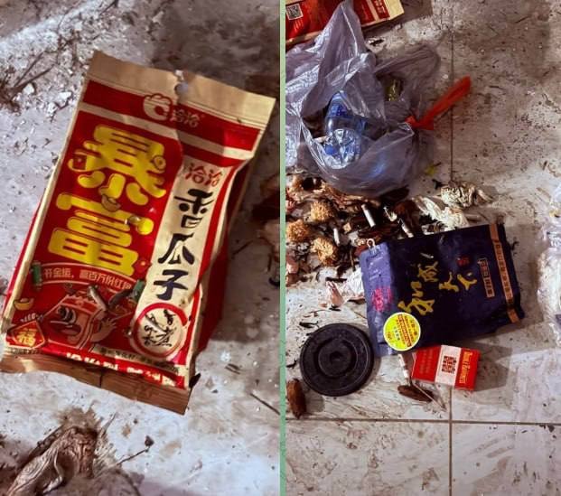 金边翁本朋花园疑现网络诈骗 居民呼吁当局介入