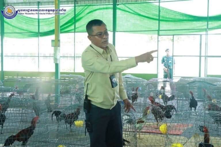 奥多棉吉省捣毁大型斗鸡场 2名负责人被捕