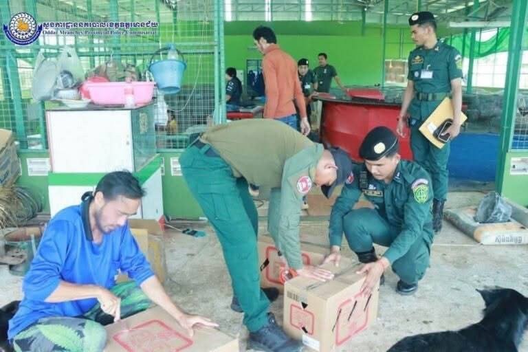 奥多棉吉省捣毁大型斗鸡场 2名负责人被捕