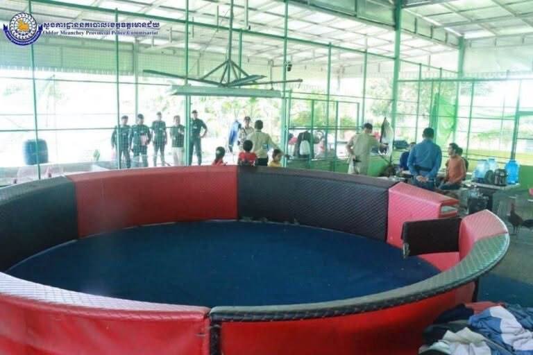 奥多棉吉省捣毁大型斗鸡场 2名负责人被捕