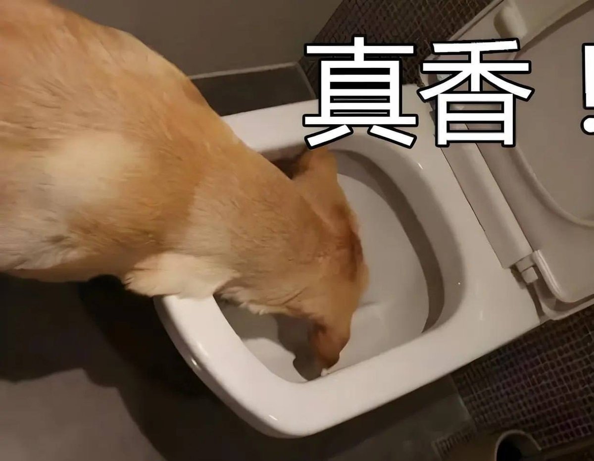 开云招聘部管理机制遭质疑 罚款条例引发员工不满