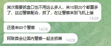 网传大规模抓捕行动系谣言 华人圈辟谣