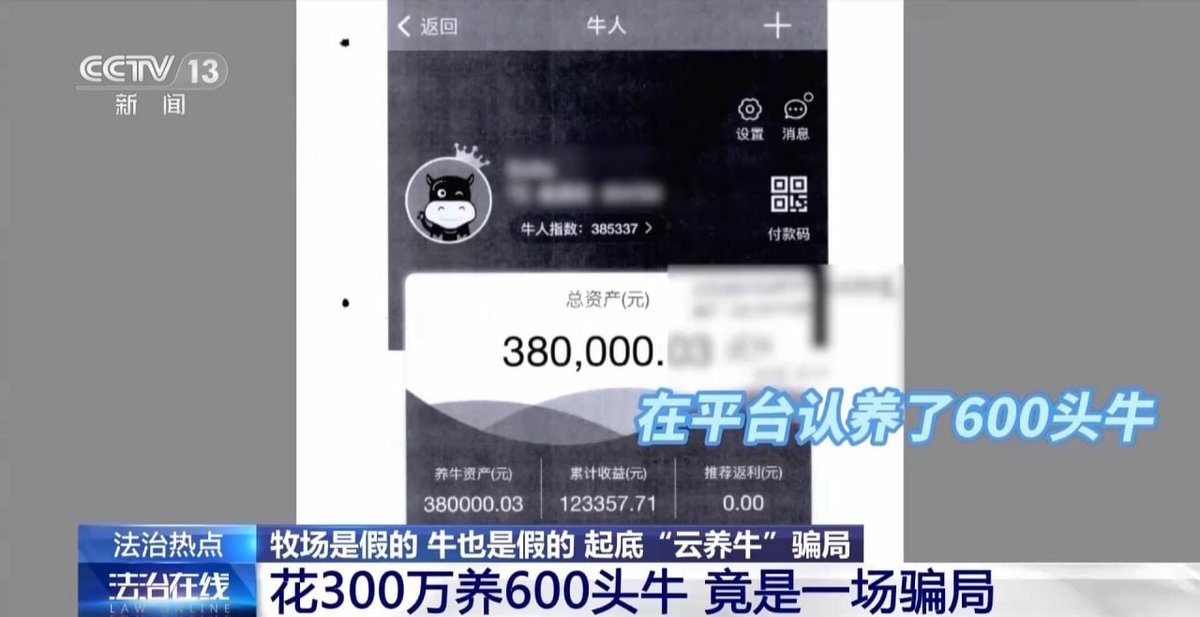 上海全民养牛集资诈骗案告破 涉案5.6亿主犯获刑