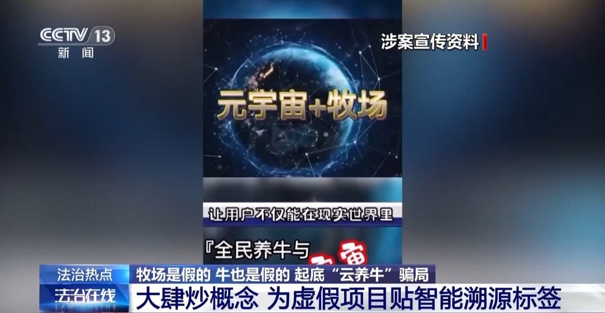 上海全民养牛集资诈骗案告破 涉案5.6亿主犯获刑