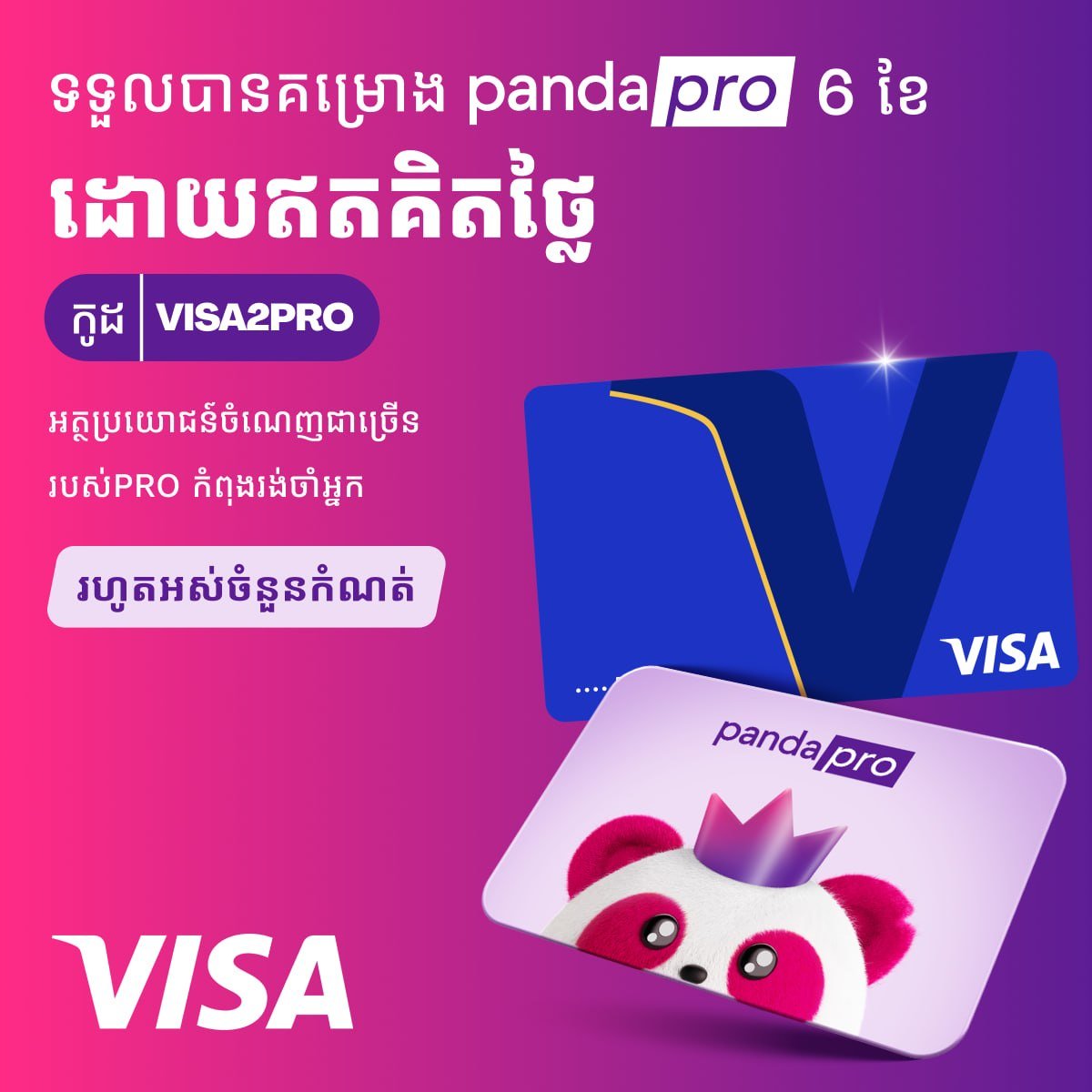 Visa持卡人享6个月免费pandapro会员 优惠至202