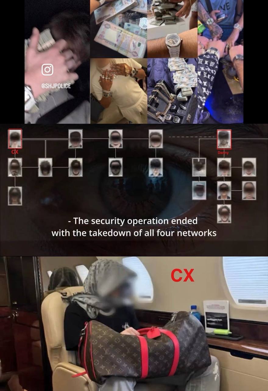 沙迦警方破获跨境网络犯罪案 追回650亿迪拉姆