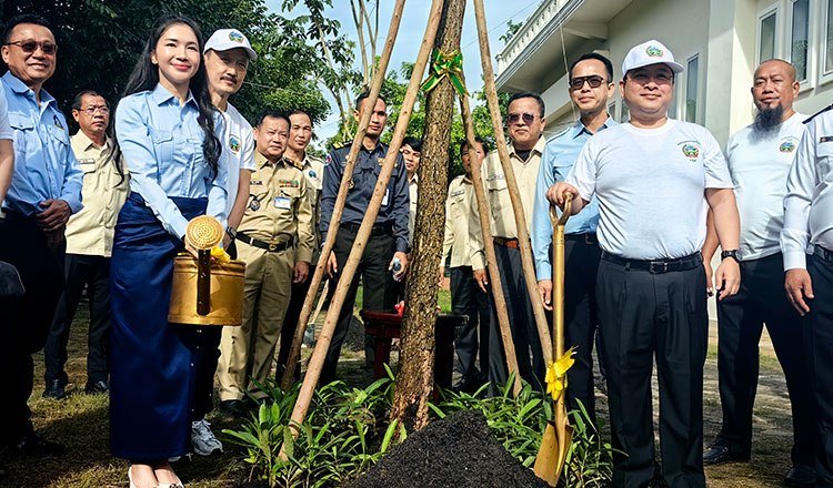 堆谷区开展植树活动 种植近千棵树木提升绿化