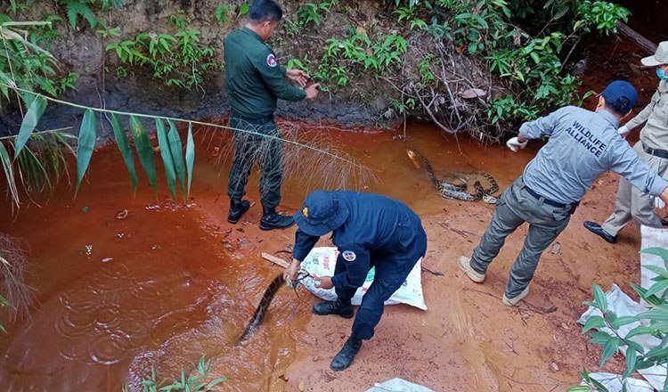 柬埔寨农业部收回野生动物救助项目管理权