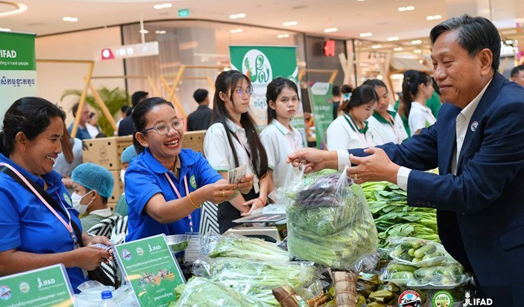 商务部AIMS项目助力小农户转型 提升市场化经营能力