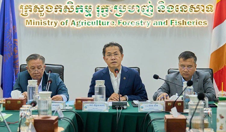 柬埔寨大米出口需求强劲 年底前稻谷价格保持平稳