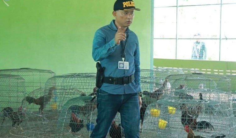 奥多棉芷省警方打击斗鸡场 查获93只斗鸡