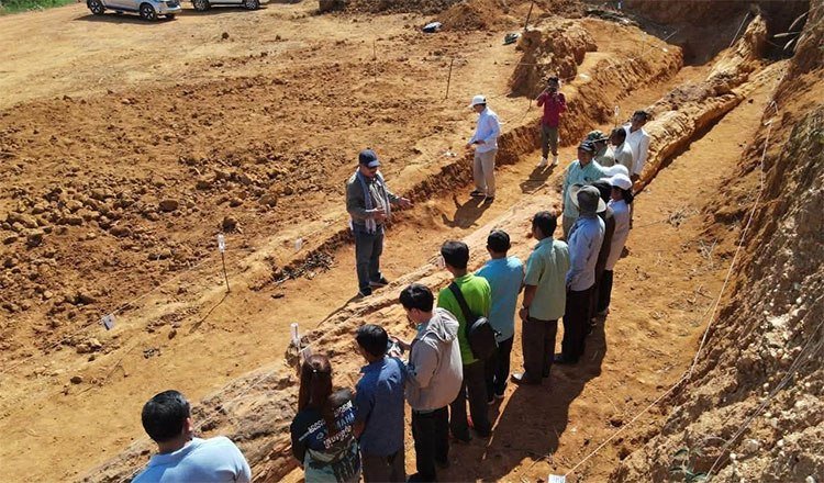 上丁省发现三棵古树化石 最远距今200万年